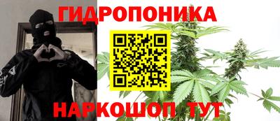 прущие грибы Канаш