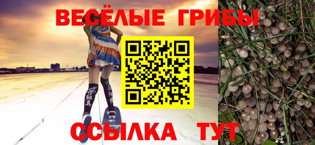 Красноуфимск  Псилоцибиновые грибы прущие грибы  Вход с VPN 