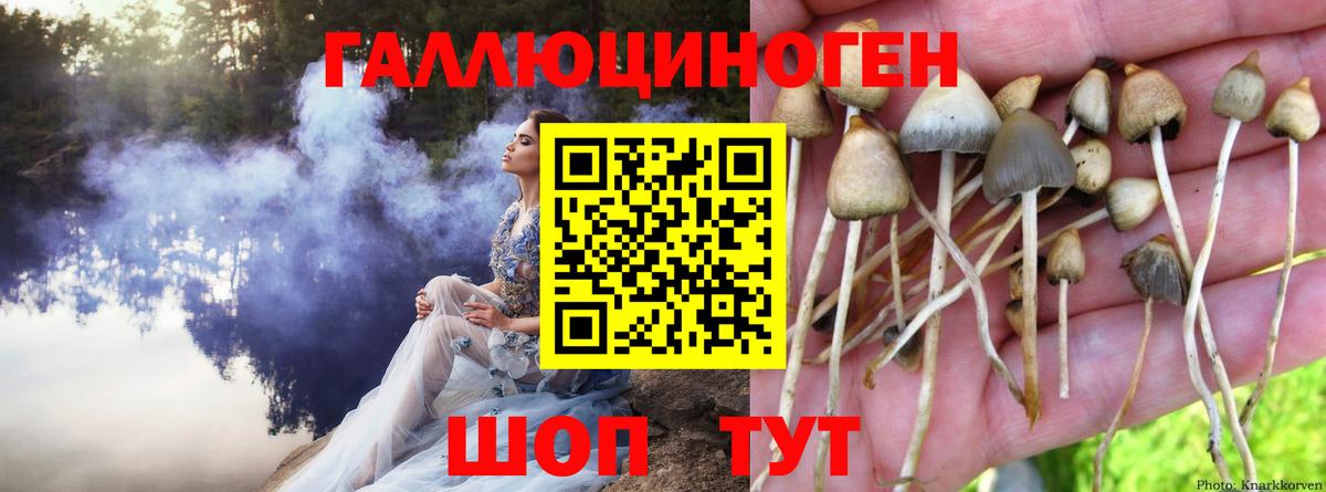 Псилоцибиновые грибы GOLDEN TEACHER Красноуфимск